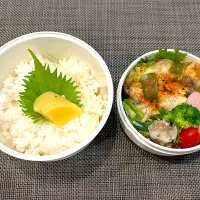 高校生息子のお弁当🍱 鶏肉の味噌チーズ焼き弁当🍱|Snow10さん