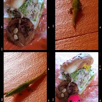 🥪🍪| 🍁さん