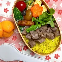 6/17 ステーキライス弁当| JUNe28さん