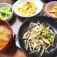 野菜炒め、キャベツと揚げの炊いたん、コーン炒め、大葉きゅうり|みーさん