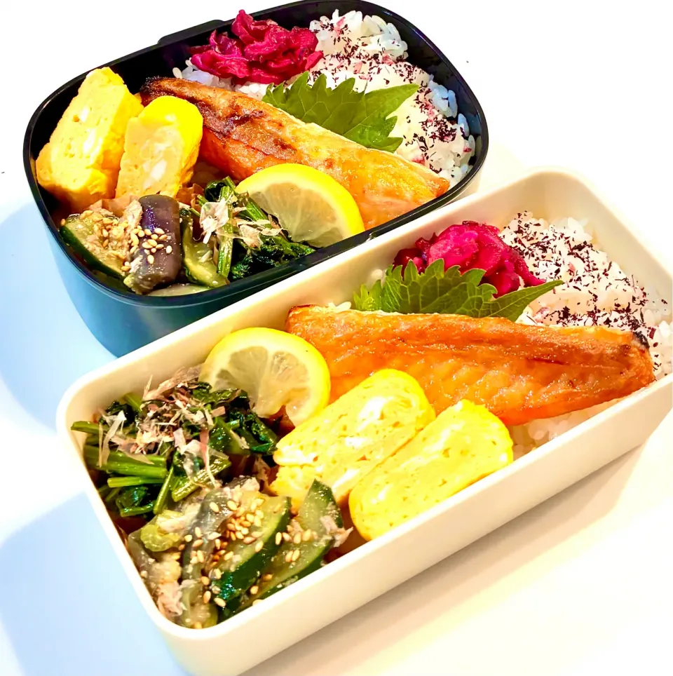 鮭ハラス弁当|m_lunchboxさん