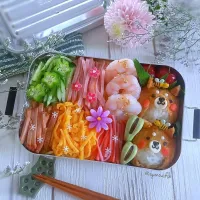 🌿🐶🌼🐶🌼🌿
冷やし中華と
柴犬いなり弁当|ayano.adshさん