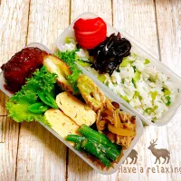 🙂煮込みハンバーグ弁当🙂|Laniさん
