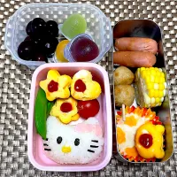 遠足お弁当🍙|ちゃっぴ〜さん