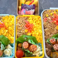 6月17日のお弁当|♡AK♡さん