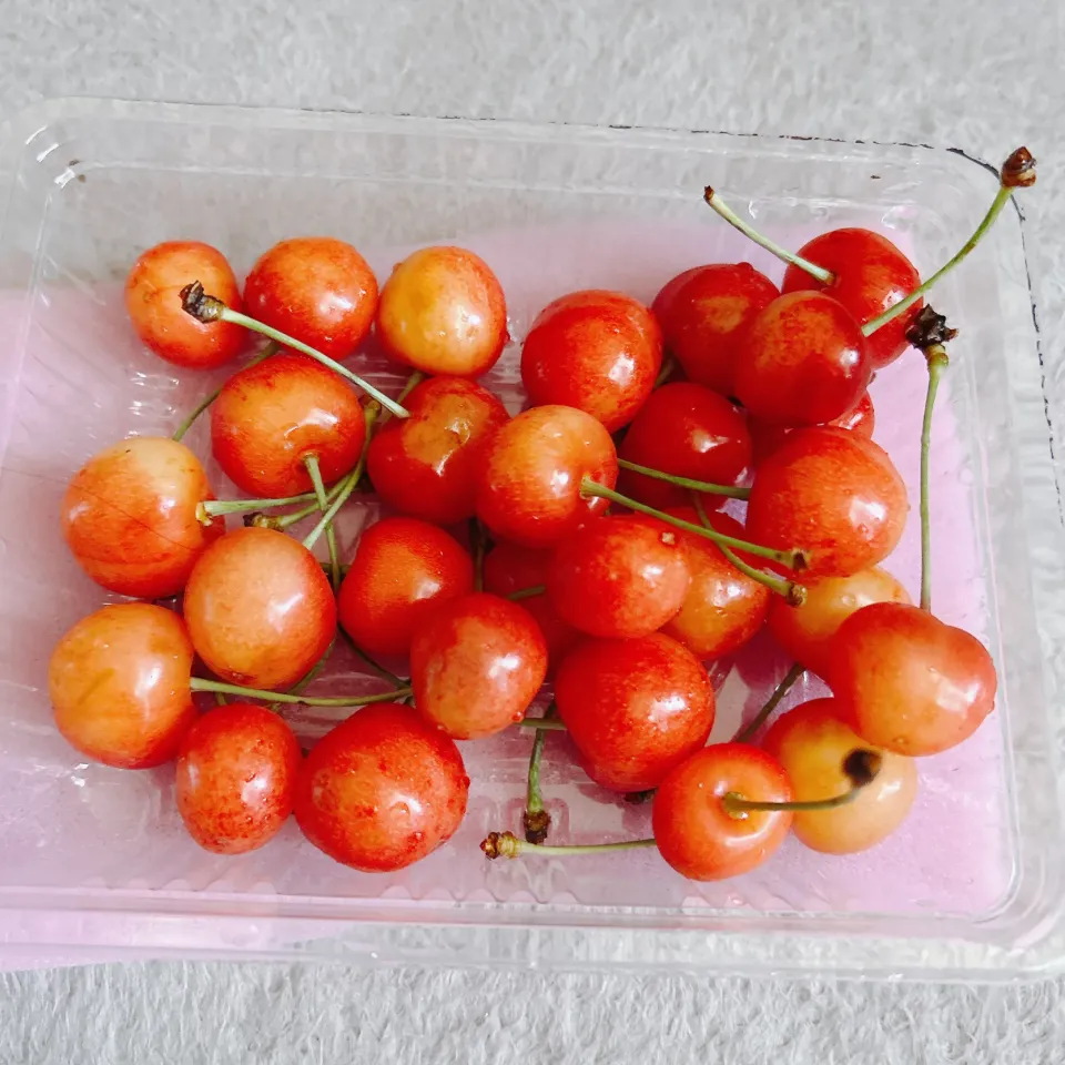 デザート|まめさん