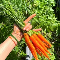 #🥕 #🇨🇭| LNAさん