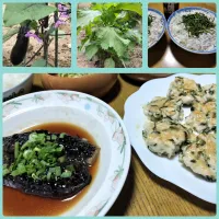 🍆茄子の煮浸し　🌿鶏胸肉と青紫蘇の塩マヨチキン　🌿青紫蘇たっぷりシラス丼| みよぱさん