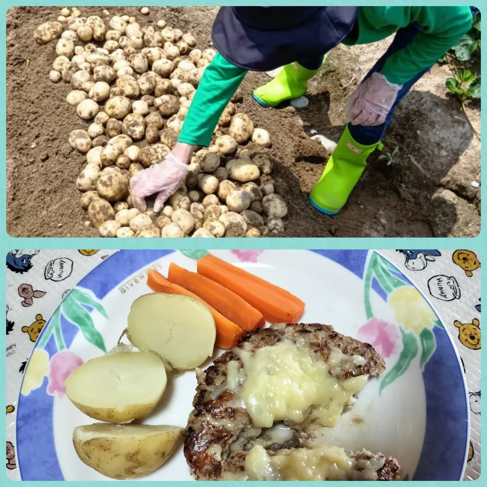 🧀チーズインとオンのハンバーグ　🥔自家製じゃが芋の付け合わせ|みよぱさん