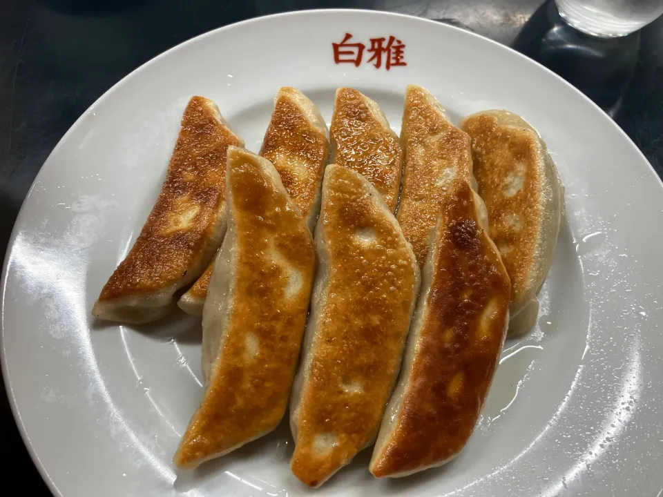 焼餃子（白雅/今治）|サンドウィッチ伯爵さん