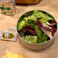 真心いきいきトリュフオイル香る三種のレタスサラダとたまごサンド弁当|まる(丸大豆)さん