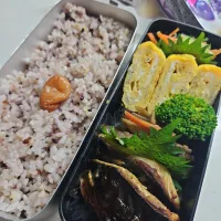 ☆高校生弁当☆雑穀米、梅、小松菜ナムル、シラス卵焼き、金平、鯖味噌焼き、蒟蒻ゼリー、鈴カステラ|ｼｮｺﾗさん