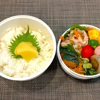 高校生息子のお弁当🍱 肉野菜炒め弁当🍱|Snow10さん