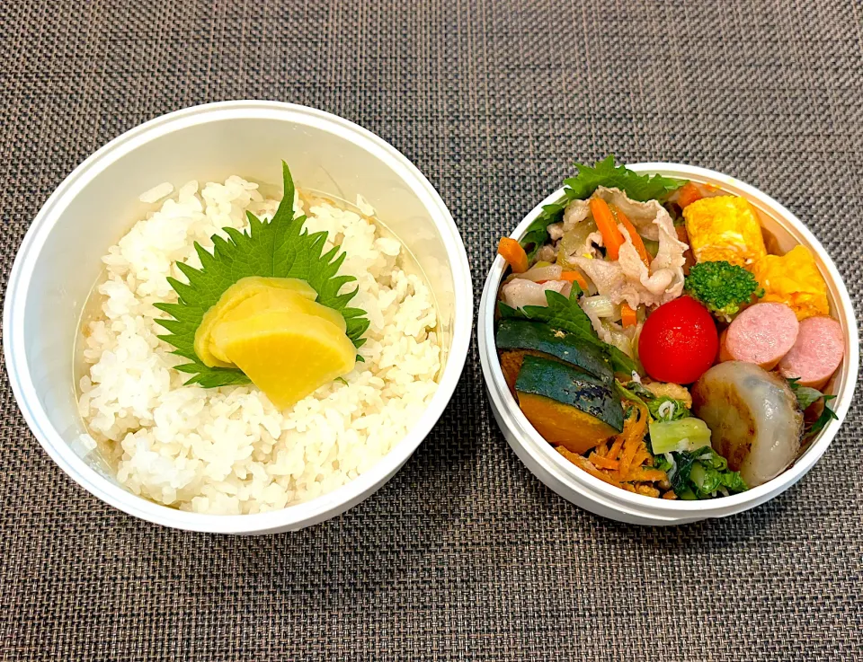 高校生息子のお弁当🍱 肉野菜炒め弁当🍱|Snow10さん