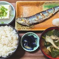 今日の朝ごはん（麦ごはんにうるめいわしの塩焼、冷奴、ほうれん草と舞茸のみそ汁、茄子漬）|Mars＠釜飯作り研究中さん