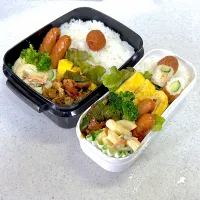 2025年6月18日お弁当🍱| もぐぷーさん
