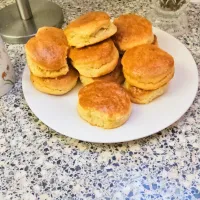 |nnabirye@yahoo.co.ukさん