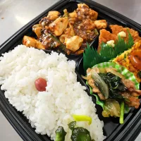 レディース弁当|景子さん