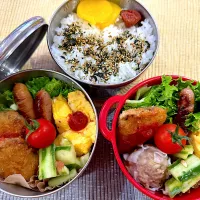 今日のヤツのお弁当（R7.6.18）|え〜かさん