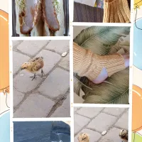 🥪🧦🐥|🍁さん