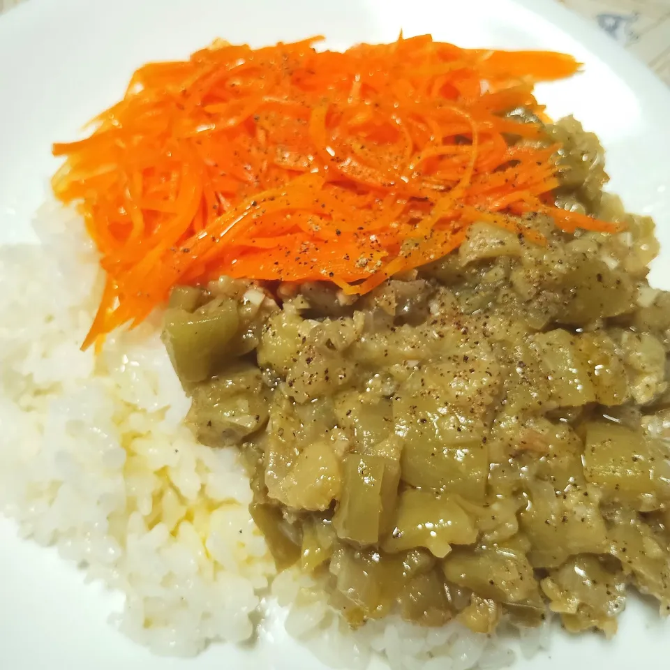 （長谷川あかりDAILY RECIPE）ナスとショウガの煮込みかけごはん|Takkiさん
