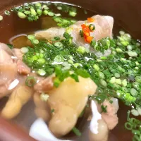 すっぽん