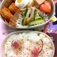 2025/6/17娘の弁当|なかみほさん