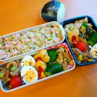 次男・私弁当&おにぎり|tamagomagomagoさん