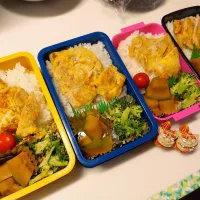 夫弁当､息子弁当､私弁当､娘弁当| みどりさん