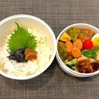 高校生息子のお弁当🍱 ミートボールと餃子弁当🍱|Snow10さん