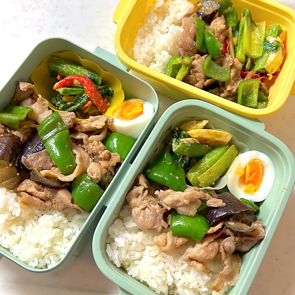 お弁当🍱|あおさん