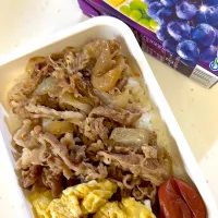 女子新入社員弁当|ぽててとさん