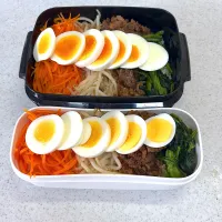 2025年6月19日お弁当|もぐぷーさん
