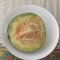 メロン  熟れ 熟れ| はやとさん