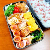 お弁当|teritamagoさん