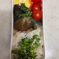 今日のお弁当|ころりんさん