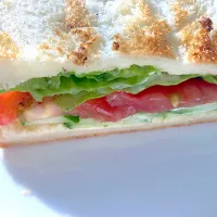 野菜サンドイッチ🥪| さくたえさん