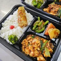 レディース弁当|景子さん