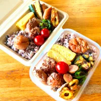 今日のお弁当