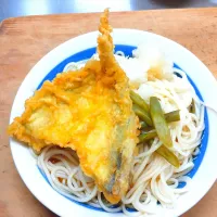 6/18のお昼ごはん
ひやむぎのぶっかけ
鯵の天ぷらのせ|卯月さん