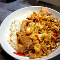 今夜は、黒酢あんかけ中華丼を頂きました😋👍🎵|ギムレットさん