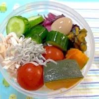 そうめん　きゅうり漬け　味付け卵　きゅーちゃん　かぼちゃの煮付け　ミニトマト　ちりめん　ささみ|kaori_831さん