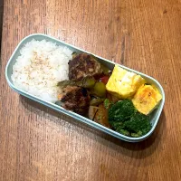 女子大学生お弁当6月20日|hatabowwyomeさん
