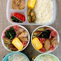 鶏の照り焼き弁当。旦那さん、娘弁当。| ゆーこ。さん