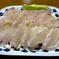 鯛のお刺身❗️٩(๑❛ᴗ❛๑)۶✨| サソリさん
