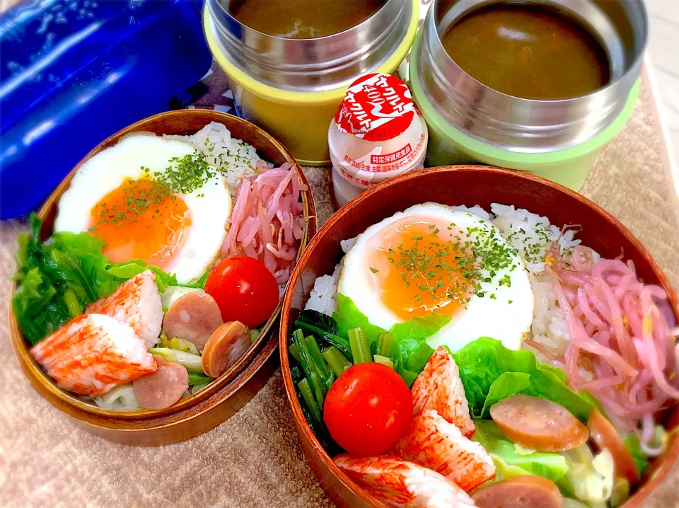 今日の夫婦弁⁽⁽ ◟(灬 ˊωˋ 灬)◞ ⁾⁾💕|桃実さん