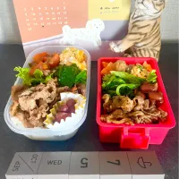 20250620🍱今日のお弁当🍱|akiyo22さん