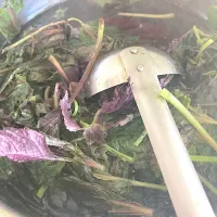 赤紫蘇ジュース作ってます☺︎|さくたえさん