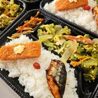 ゴーヤーチャンプルー弁当|景子さん