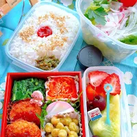 2025/06/20 サラダとヒレカツ弁当|Blueberry🫐さん